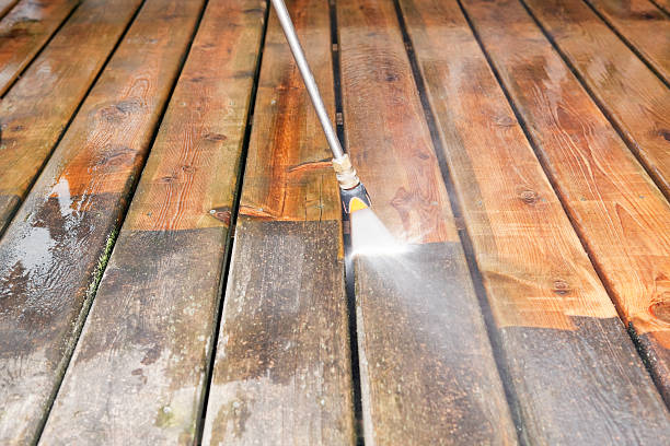 Best Roof Pressure Washing  in Lake Belvedere Estates, FL