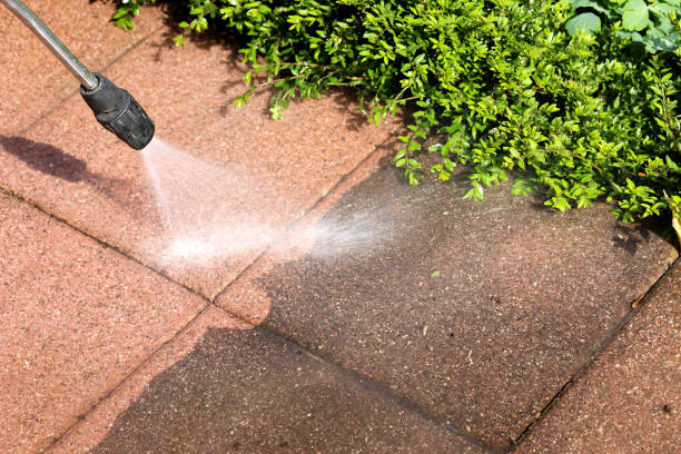 Best Roof Power Washing Services  in Lake Belvedere Estates, FL