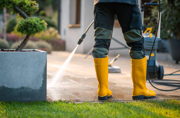 Best Affordable Pressure Washing  in Lake Belvedere Estates, FL